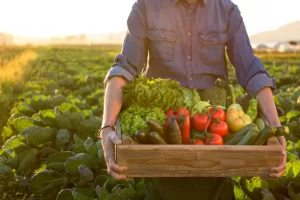 Harvest To Home