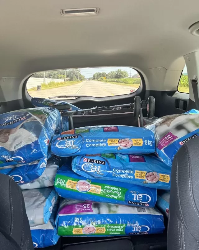 🚗🐾 A huge shoutout to Kelly’s Cat Cab for going the extra mile—literally!
Kelly made the long drive all the way to Toronto to pick up and deliver 20 large bags of cat food for our FreeHelpCK Pet Pantry! Thank you for supporting our furry friends in such a big way! 💙🐱