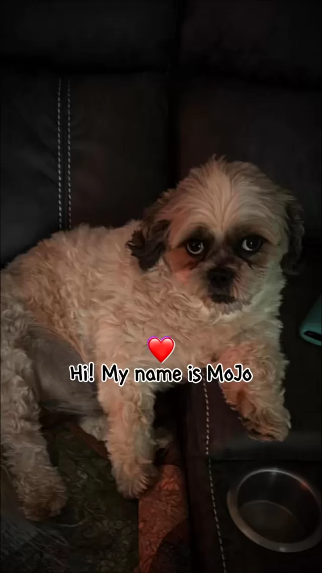 Instagram post 18065320319298280