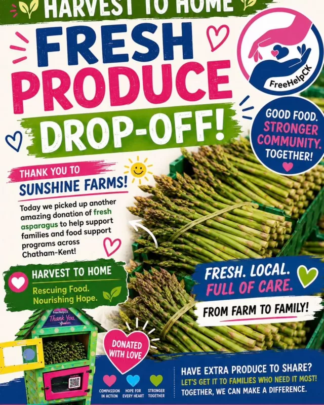 🌾 From Farm to Family 💚

Today, we are excited to pick up another generous donation of fresh asparagus from Sunshine Farms!

Because of their kindness, fresh, locally grown produce will be distributed to families and community food support programs across Chatham-Kent, helping ensure good food reaches those who need it most.

This is exactly what Harvest to Home is all about — rescuing fresh food, reducing waste, and connecting our local growers with local people. Every bundle of asparagus represents neighbors helping neighbors and a community coming together to make a difference.

A huge thank you to Sunshine Farms for supporting this important initiative and helping us nourish hope throughout our community.

🌾 Fresh from the farm
❤️ Shared with care
🏡 Supporting families and community programs across Chatham-Kent

Harvest to Home — Rescuing Food. Nourishing Hope.

#FreeHelpCK #HarvestToHome #ChathamKent #CommunityStrong #FoodSecurity #SupportLocal #FarmToFamily #CompassionInAction #HopeForEveryHeart #NoFoodWasted