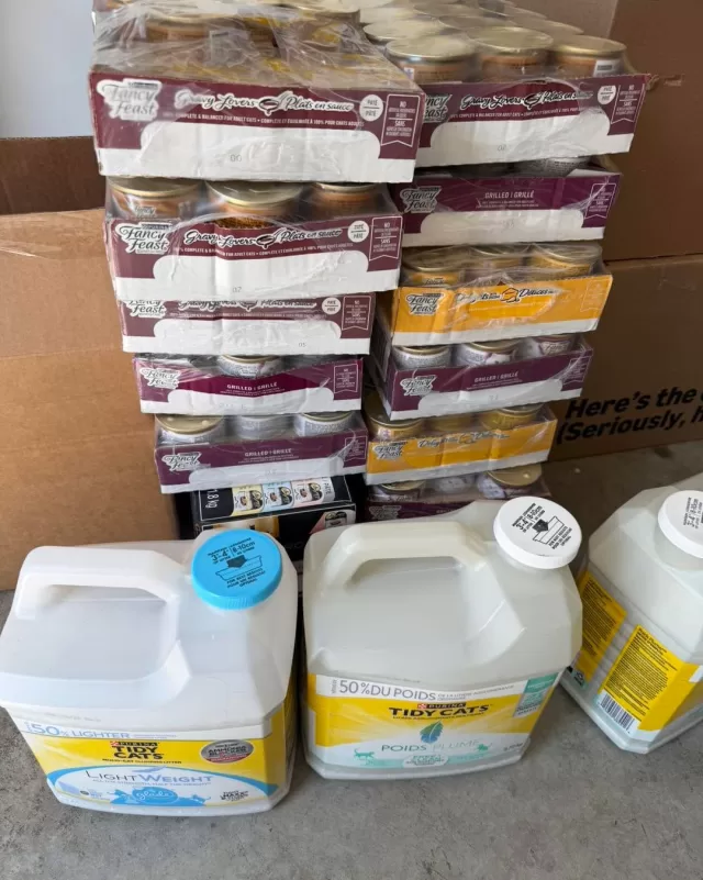 🐾 Thank You to an Anonymous Donor! 🐱

We are so grateful to an anonymous community member who generously donated a wonderful supply of canned cat food and cat litter to our FreeHelpCK Pet Pantry.

Your kindness will help ensure families facing difficult times don’t have to choose between feeding themselves and feeding their beloved pets. Every donation makes a meaningful difference, and we’re incredibly thankful for your generosity.

If you’re in need of assistance with pet food, our Pet Pantry is here to help. Please visit www.freehelpck.ca and complete the online request form🐶🐱

#FreeHelpCK #PetPantry #ChathamKent
