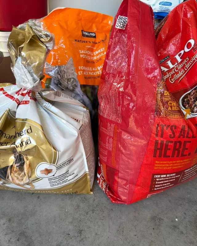 🐾 A heartfelt thank you to the anonymous donor who dropped off a generous supply of dog food! Your kindness and generosity help ensure that local pets and the families who love them have access to the support they need.

We are so grateful for your support of FreeHelpCK’s Free Pet Pantry. Every donation helps us provide free dog and cat food to local furry friends when times are tough🐶🐱

If you or someone you know is in need of pet food, please visit https://freehelpck.ca/our-programs/pet-pantry-porch-pickup/ and complete the online request form. We’re here to help because no family should have to choose between feeding themselves and feeding their beloved pet 🐾

#FreeHelpCK #PetPantry #CommunityHelpingCommunity #ChathamKent #HelpingPets #ThankYou