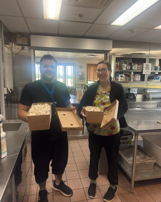 🍄 Thanks to the incredible generosity of Peteer’s Mushroom Farm, FreeHelpCK was fortunate to receive an abundance of fresh mushrooms today!

Our volunteers were able to quickly share this wonderful donation with the Blenheim Community Village and the Westover Treatment Centre, helping ensure fresh, nutritious food reaches those who can enjoy it most🥰✨
