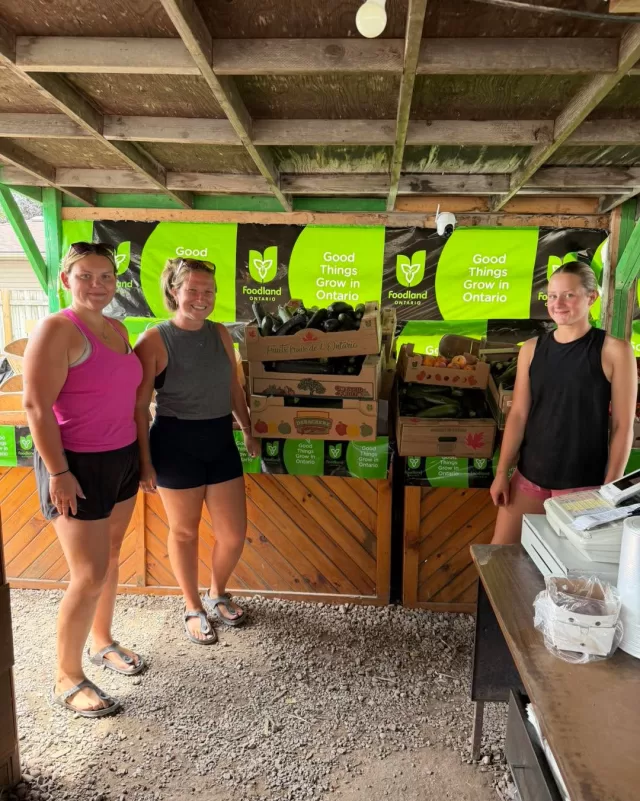 A heartfelt thank you to Sarah’s Farmers Market for generously donating fresh peaches and zucchini to FreeHelpCK! 🍑🥒

Your kindness helps us provide fresh, nutritious food to local families, seniors, and community partners who rely on our programs. We’re so grateful for your continued support and for helping us make a difference, one donation at a time. ❤️

#FreeHelpCK #CommunityHelpingCommunity #HarvestToHome #ThankYou #ChathamKent