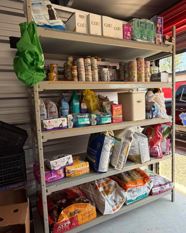 Behind every one of FreeHelpCK’s programs is an incredible team of volunteers who give so generously of their time, and today we’d like to recognize one of them.

A heartfelt thank you to our volunteer, Dave Hughson, who never hesitates to put FreeHelpCK first🙏🏻✨ No matter what’s needed, Dave is always willing to step up and lend a hand.

As we prepare for another busy Operation Backpack season while continuing to operate all of our day-to-day programs, our storage unit was in need of some serious organization. 

Over the weekend, Dave generously gave his time to install the first of many shelving units and organize our Pet Pantry supplies, creating a space that will help our volunteers work more efficiently and better serve our community.

Volunteers like Dave are the heart of FreeHelpCK💗Your dedication, hard work, and selfless commitment make a lasting difference, and we are so grateful for everything you do. Thank you, Dave, for always being there when we need you. Your kindness and generosity do not go unnoticed. 

👇Join us in the comments and help us thank Dave for everything he does for FreeHelpCK! Your words of appreciation mean so much to the volunteers who make our mission possible💫