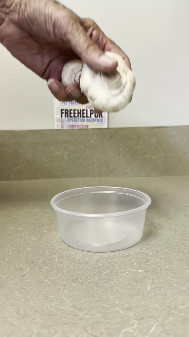 🍄➡️🥣 Watch the magic happen!

Fresh mushrooms from Peeters Mushrooms Inc. went into the bowl… and came back as a warm, hearty mushroom soup thanks to the amazing team at The Shady Pine Family Restaurant! 😋❤️

Now THAT’S what we call community teamwork! 🙌

A delicious addition to Thursday’s Senior Hope Meals and a whole lot of love going out to our seniors🫶

#FreeHelpCK #SeniorHopeMeals