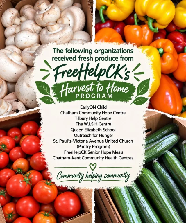 Fresh produce, shared with our community🍄🫑

Through FreeHelpCK’s Harvest to Home Program, another incredible abundance of fresh produce made its way into the hands of local organizations supporting individuals, families and seniors throughout Chatham-Kent✨

This week’s fresh produce was shared with:
EarlyON Child
Chatham Community Hope Centre
Tilbury Information and Help Centre - United Way of Chatham-Kent
The Wish Centre
Queen Elizabeth II Lunch School Program
Chatham Outreach for Hunger
St. Paul’s-Victoria Avenue United Church (Pantry Program)
FreeHelpCK Senior Hope Meals
Chatham-Kent Community Health Centres

A huge THANK YOU to Peeters Mushroom Farm Inc., for generously providing the best mushrooms 🍄, Platinum Produce for the delicious cucumbers and tomatoes 🍅, and our anonymous greenhouse donor for the beautiful peppers🫑 

Your generosity goes far beyond the fresh produce you provide 🥰  It means families, seniors and individuals throughout Chatham-Kent have access to fresh, nutritious food, while reminding them that their community is here to support and care for them. We’re incredibly grateful to have such generous community partners helping us make this possible🙏🏻✨

#HarvestToHome #GivingBack #SupportLocal