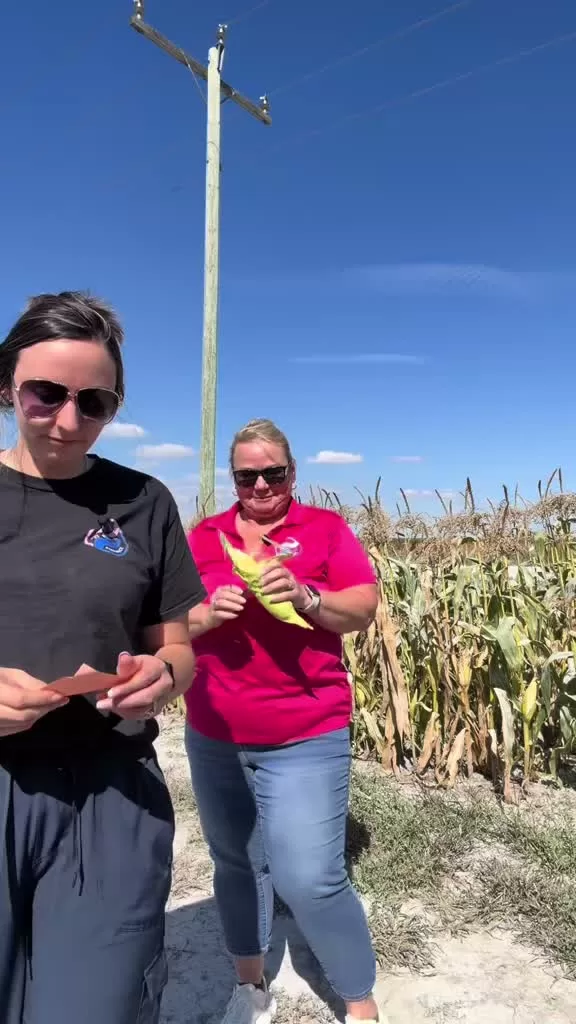 POV: We went corn gleaning and the jokes got progressively cornier 🌽😂

Sorry in advance… we couldn’t help ourselves.

#CornJokes #DadJokes #CornyJokes #Gleaning #FreeHelpCK #HarvestToHome