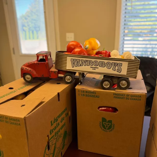 🍅🍄 It truly takes a village, and we are so grateful for ours!

A heartfelt thank you to Platinum Produce for the wonderful donation of tomatoes and peppers, and to Peeter’s Mushroom Farm for generously donating fresh mushrooms!

🙏🏻 We also want to extend a special thank you to VanRoboys Trucking Ltd. for helping us deliver this fresh produce to organizations throughout Chatham-Kent.

Through FreeHelpCK’s Harvest to Home program, we’re reminded time and time again just how much can be accomplished when people come together with a shared purpose❤️

Because of your kindness and generosity, this fresh food is reaching organizations that help feed so many individuals and families across our community.

Thank you for helping us turn generosity into full plates! 🥰

#FreeHelpCK #HarvestToHome #ChathamKent #ThankYou #GivingBack