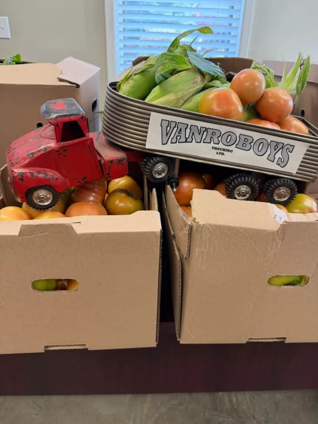 🫑💚 A Harvest That’s Making a Difference Across Chatham-Kent!

One of the most rewarding parts of FreeHelpCK’s Harvest to Home Program is seeing just how many local organizations can benefit from the generosity of our farming community🍅🌽

Thanks to farmers and growers who choose to donate their excess produce, we’ve been able to share an abundance of fresh sweet corn, mushrooms, tomatoes, peppers, and butternut squash with organizations throughout Chatham-Kent.

Just look at some of the organizations this generosity is reaching!

🌱 Westover Treatment Centre
🌱 Good Shepherd Catholic School, Thamesville
🌱 Chatham Christian School
🌱 The Mental Health Network of Chatham Kent - Hope House 
🌱 Chatham-Kent Community Health Centres
🌱 New Beginnings ABI & Stroke Recovery
🌱 Merlin Food Bank
🌱 Tilbury Information and Help Centre - United Way of Chatham-Kent
🌱 FreeHelpCK Free Food Pantries
🌱 Building Healthy Babies in Chatham-Kent
🌱 St. Paul’s-Victoria Avenue United Church (Pantry Program)

And these are only a few of the organizations we’ve had the privilege of supporting through this program!

To our local farmers and growers, we cannot thank you enough!🙏🏻 Your generosity is doing so much more than preventing food waste. You’re helping schools, food banks, community programs, and other local organizations access fresh produce.

It’s incredible to think that produce which may have otherwise gone unused is now helping so many people throughout our community. Every harvest shared has the potential to make a difference, and we’re so thankful to the farmers who continue to make this possible💚

#FreeHelpCK #HarvestToHome #ChathamKent #LocalFarmers #FoodRescue #ReducingFoodWaste